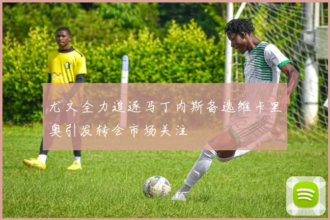 尤文全力追逐马丁内斯备选维卡里奥引发转会市场关注