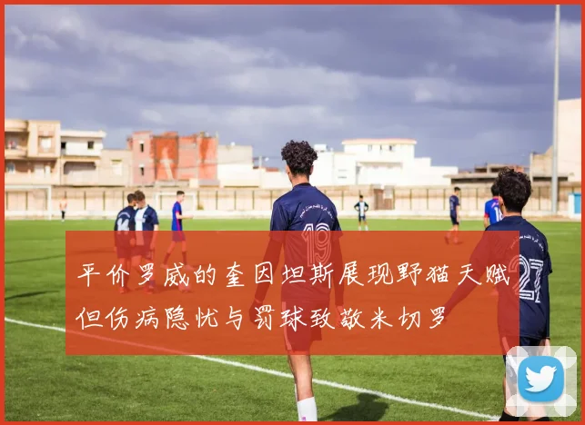 平价罗威的奎因坦斯展现野猫天赋但伤病隐忧与罚球致敬米切罗